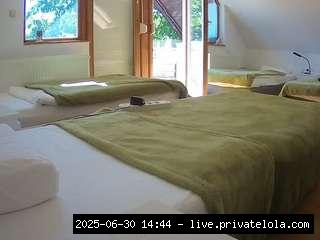 sgemma chat